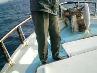 kuşadası balık turu yasmin teknesi