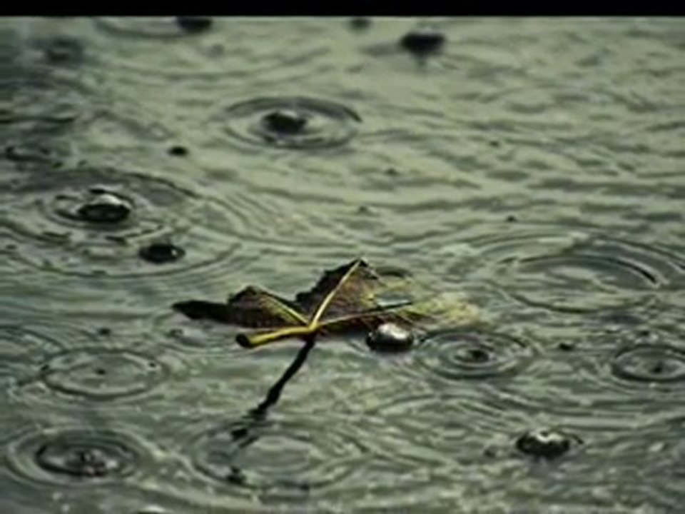 Sezenler Olmuş - Ümmüşen & Yeni Türkü