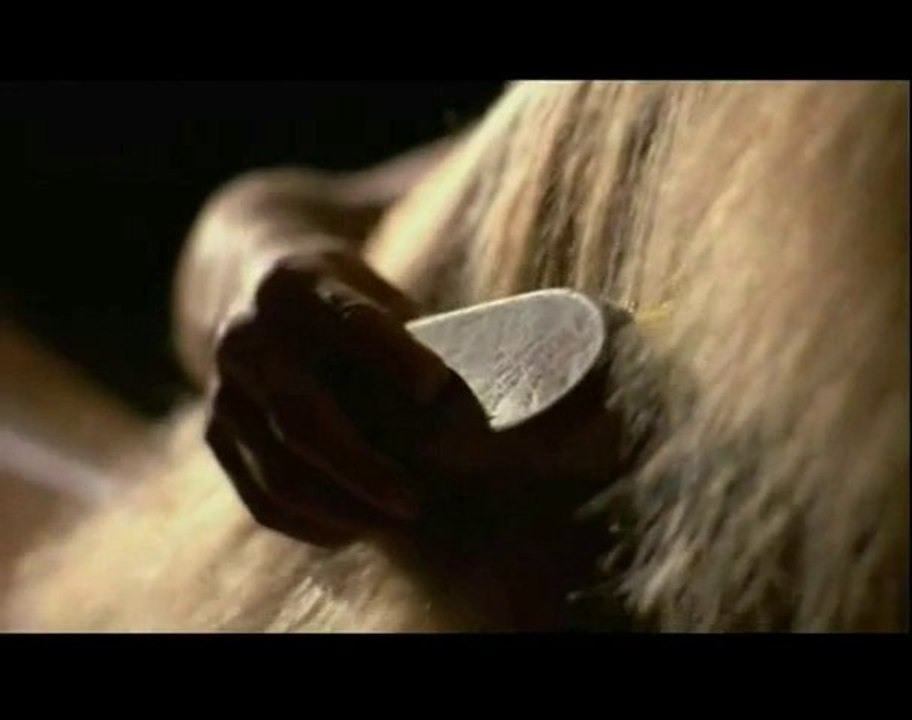 Le Saint Coran Sourate  L'étoile (An-Najm) 38-44