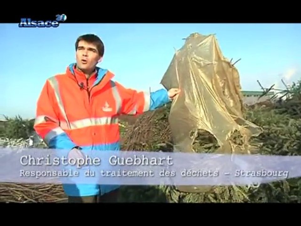 Une seconde vie pour les sapins de Noël ‎(Alsace)