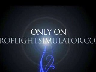 Realistic Flight Sims 2011
