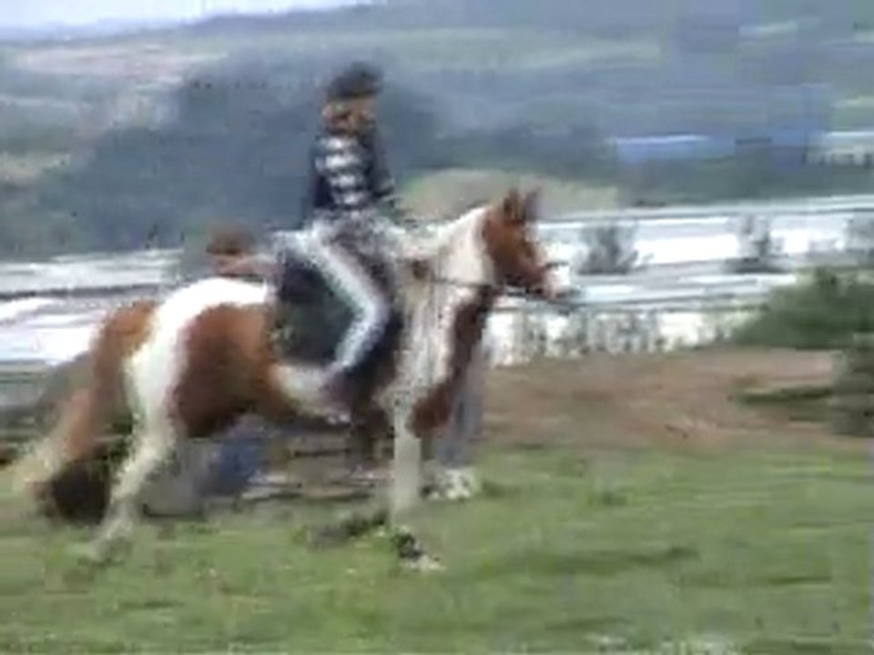 parcours (chute) mister & agathe