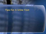 Bladder Cancer Detection : Are there any urine tests for bladder cancer?
