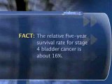 Bladder Cancer Prognosis : What does 'stage 4 bladder cancer' mean?