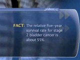 Bladder Cancer Prognosis : What does 'stage 2 bladder cancer' mean?