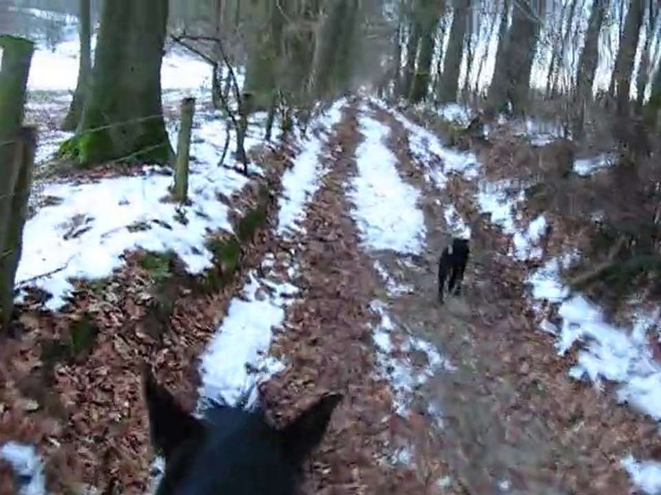 Ulys balade 5 janvier 2011