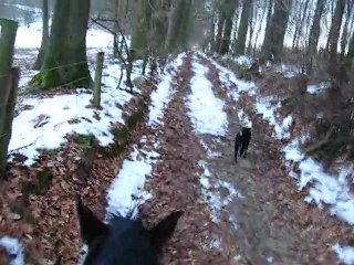 Ulys balade 5 janvier 2011