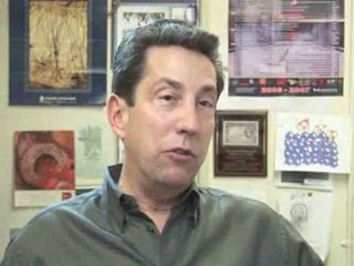 Epilepsy And Brain Regions : What is the "vagus nerve"?