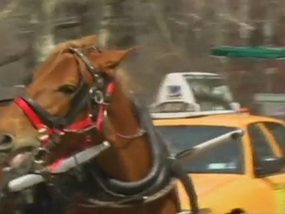 Lea Michele: Horse-Drawn Carriages