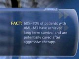 Acute Leukemia : What are the different types of acute myeloid leukemia?