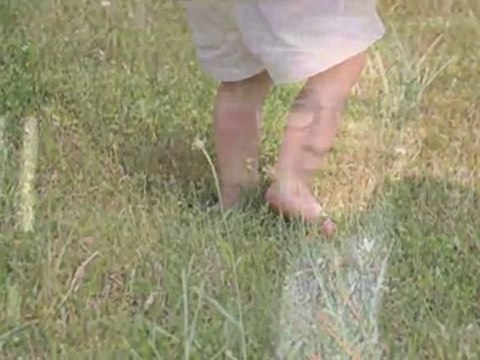 Allergy Basics : What are skin allergies ?