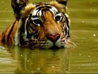 Travel Guide: India - Unique Excursions