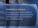 Alzheimer's Disease And Memory Loss : What is 