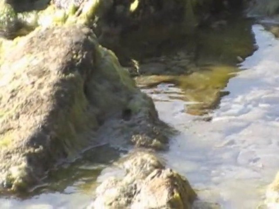 les Saintes Maries de la Mer