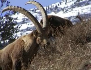 aussois le ski en Famille