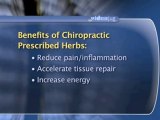 Chiropractic Treatments And Therapies : How can herbs recommended by a chiropractor help me?