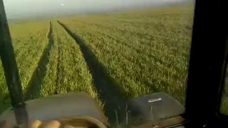 Buğday ilaçlaması > www.WebTarimTv.com