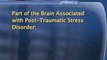 Post-Traumatic Stress Disorder : What are the most common causes of post-traumatic stress disorder?