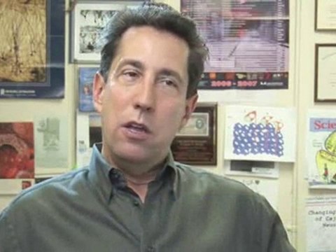 Absence Seizures : What triggers an absence seizure?