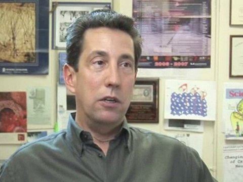 Absence Seizures : What should I do if I see someone having an absence seizure?