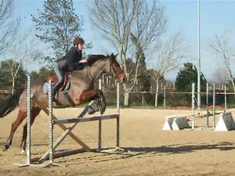 Cours saut