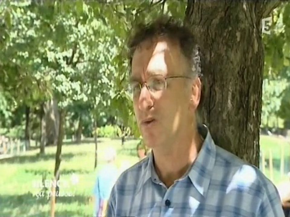 Arbres remarquables de Paris