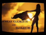 Dj Kantik - African Elements (Orginal Product)