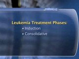 Leukemia Treatment : How are acute leukemias treated?