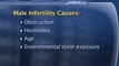 Male Infertility : What causes infertility in men?
