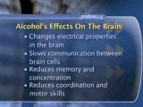 Memory And Nutrition : How does alcohol affect my memory?