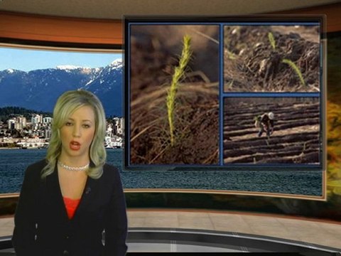 Carbon Friendly Solutions Inc. (CNSX: CFQ) News Alert