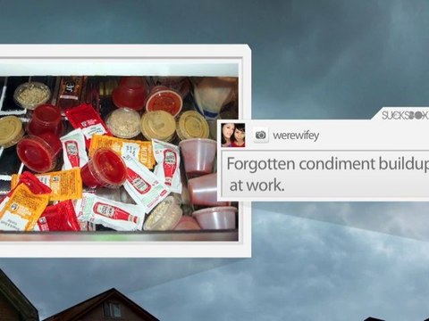 That Sucks: The Daily Grind