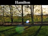 Tree Removal-Trimming Service | Hamilton-Hamilton Square-Me