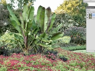 Enhancing Images with ALCE2