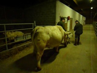 préparation au salon de l'agriculture