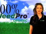 Milton Lawn Care WeedPro - Organic Lawn Care Service