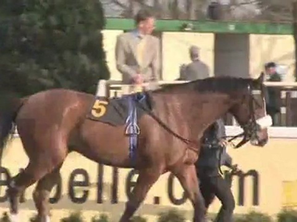 How To Spot A Good Horse As It Walks Around The Paddock : How can I spot a good horse as it walks around the paddock?