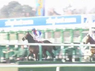 How To Spot A Winning Horse : How can I spot a winner?