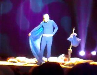 l_oiseau bleu - la cigale coussin