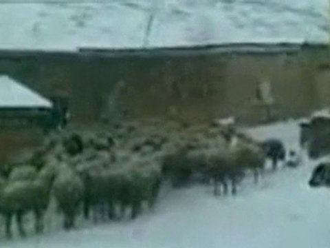 2011 ilk kar goruntusu - 07-01-2011 mahmutlukoyu