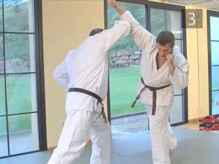 Martial Arts - Blocks