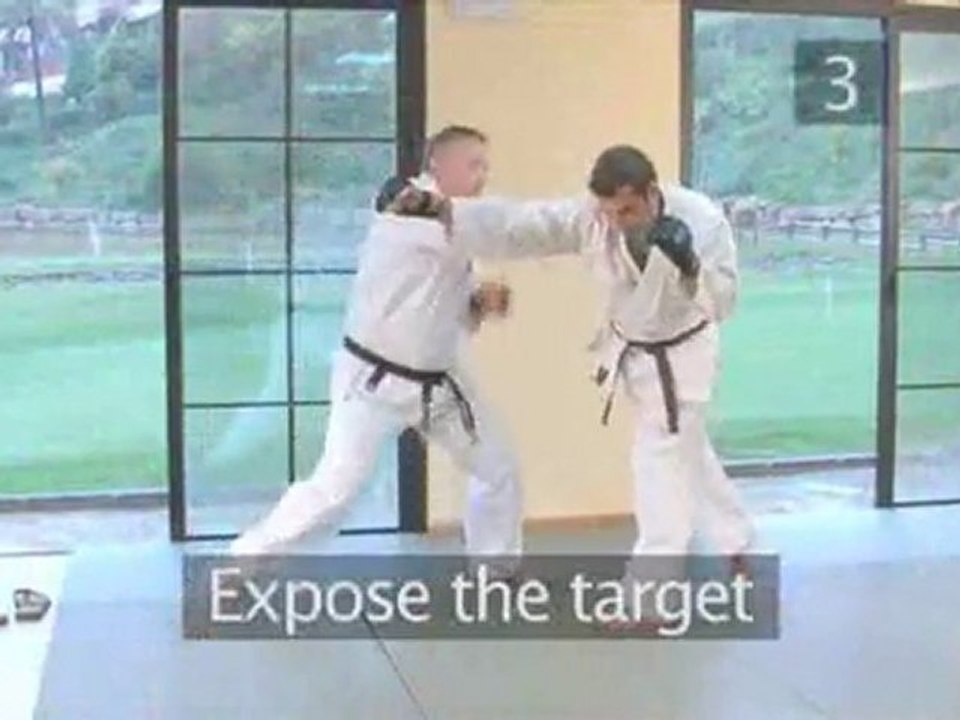 Martial Arts: The Counterpunch