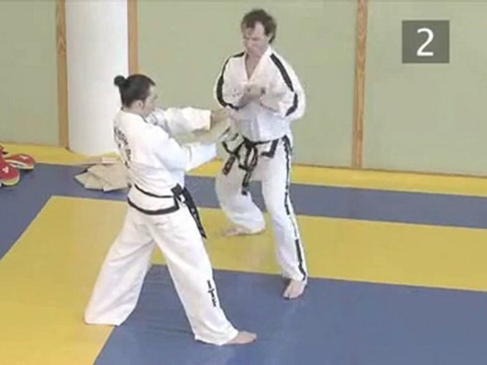 TaeKwon-Do:  Break A Board With The Front Elbow