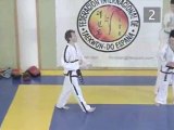 TaeKwon-Do:  Break A Board With The Jumping Front Kick