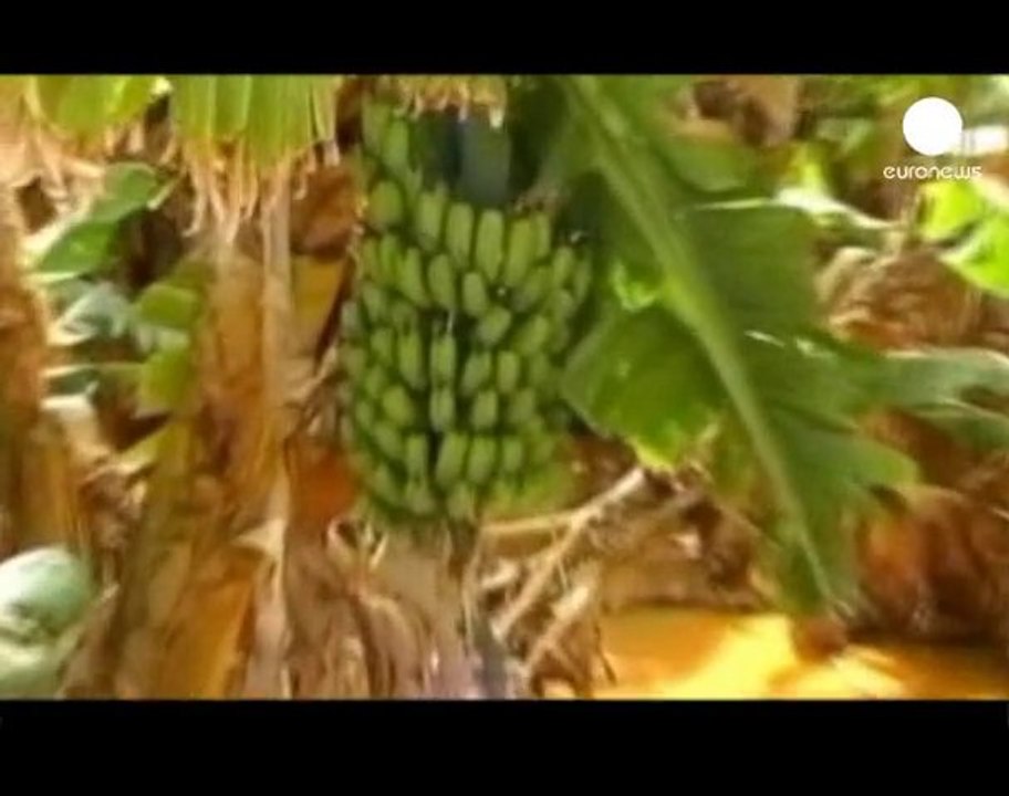 Australia: meses incluso años para borrar la huella de...