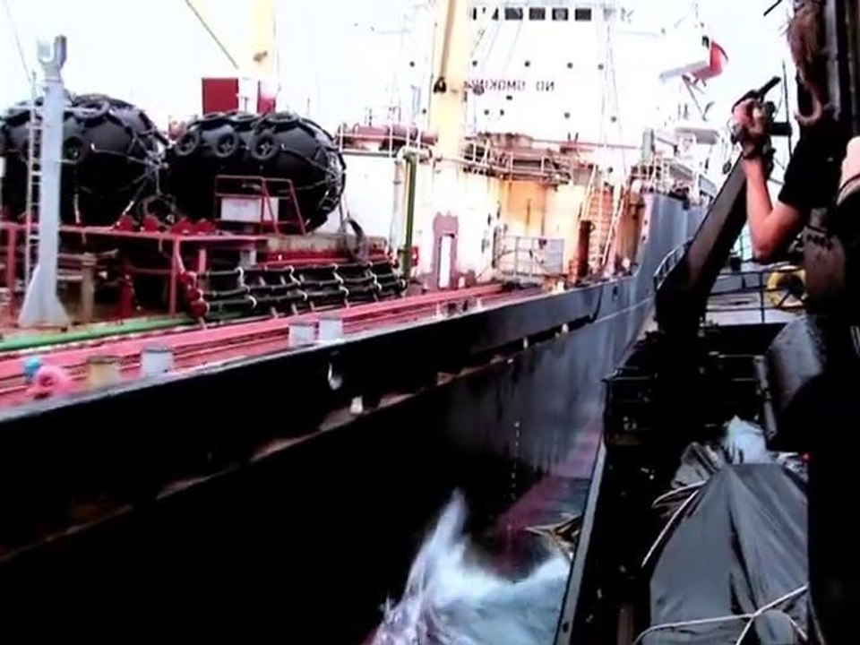 Sea Sheperd - Operation Leviathan - Teaser