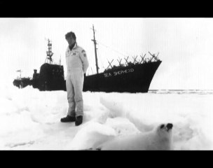 Du sang sur la glace - Sea Shepherd