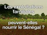 L'agriculture familiale peut-elle nourrir le Sénégal ?