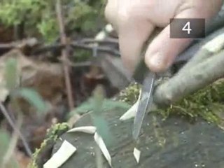 How To Build A Bivouac Shelter