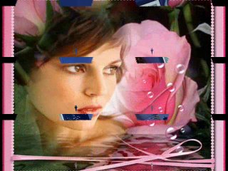 LECH STAWSKI--------JEDNA ŁZA